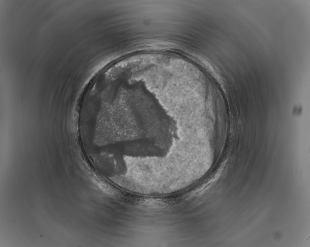 X0000094440835200712061136