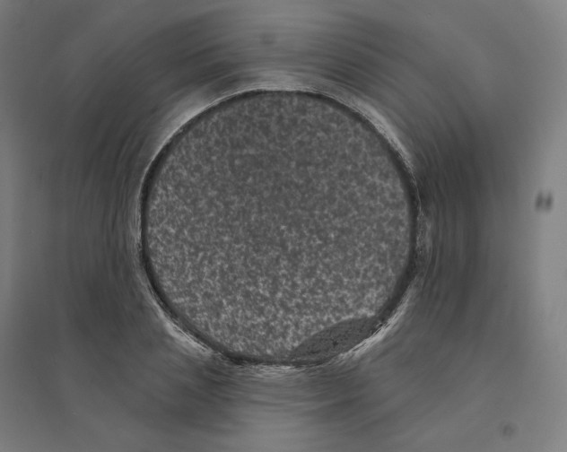 X0000094440837200712061136