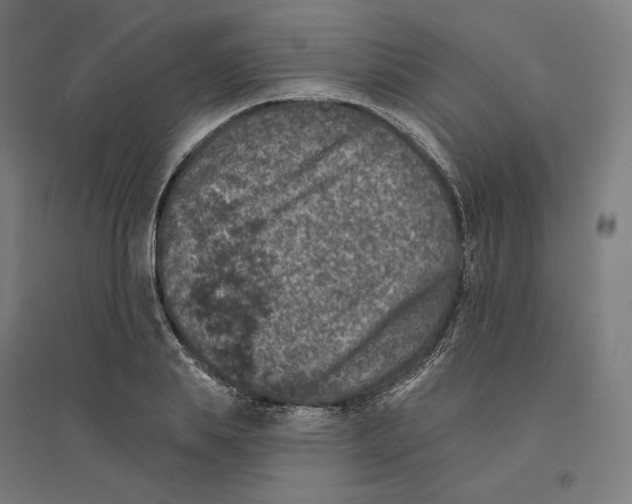 X0000094440839200712061136