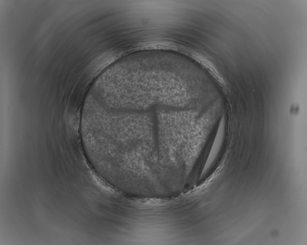 X0000094440841200712061136