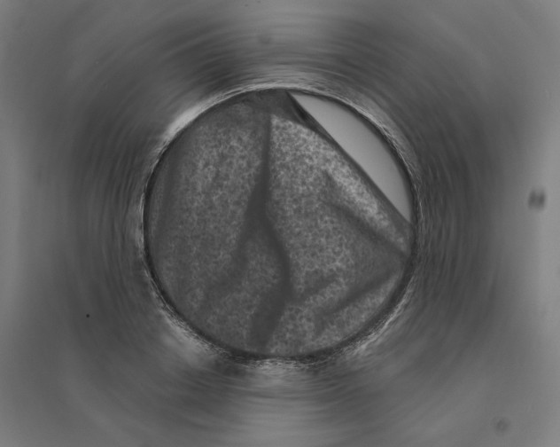 X0000094440842200712061136