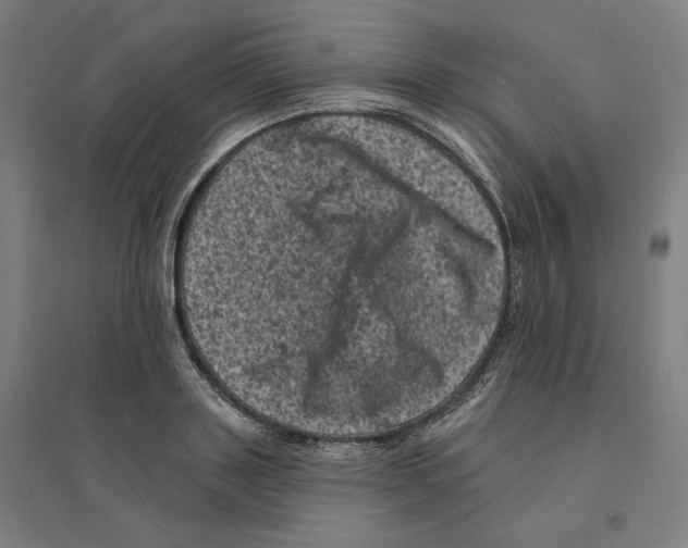 X0000094440843200712061136