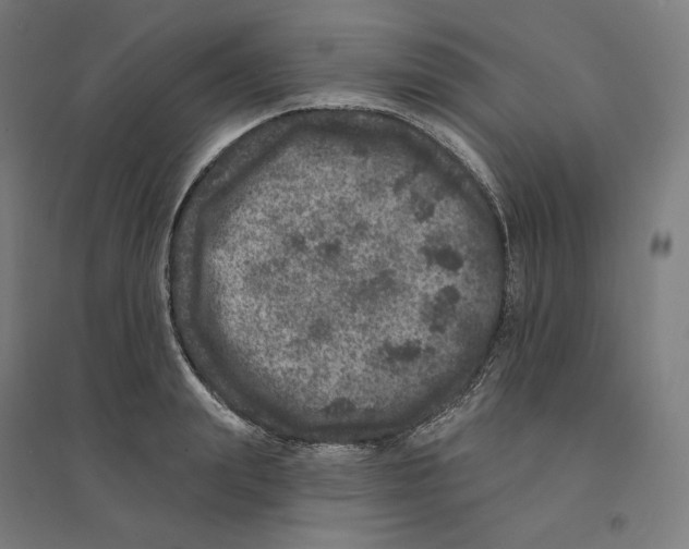 X0000094440847200712061136