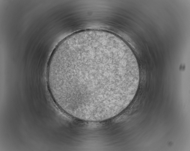 X0000094440848200712061136