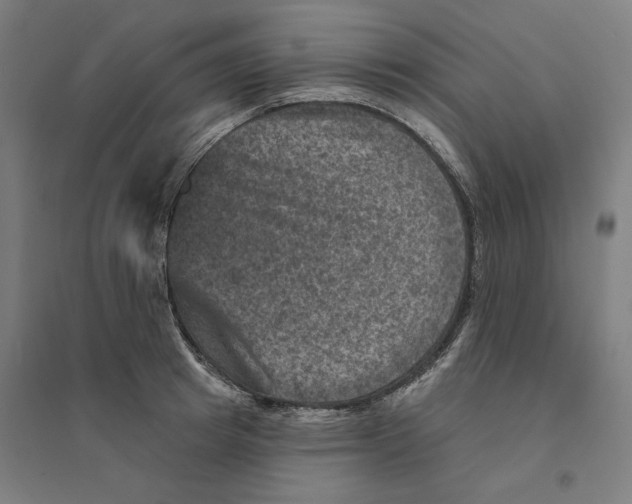 X0000094440849200712061136