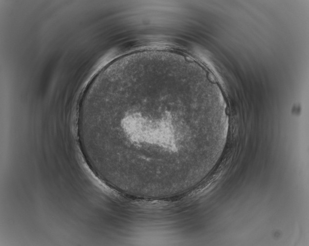 X0000094440851200712061136