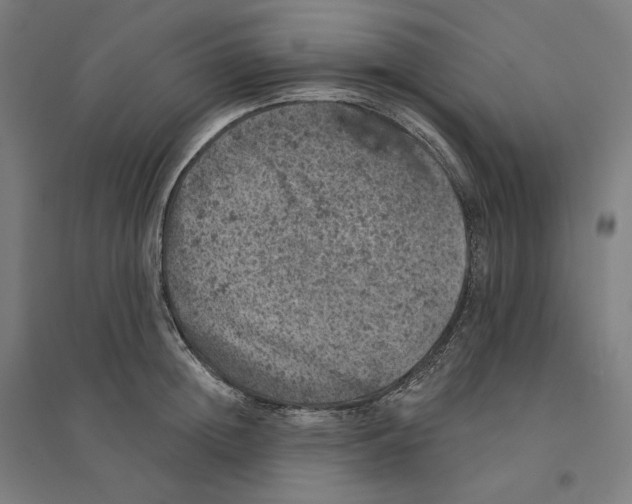 X0000094440852200712061136