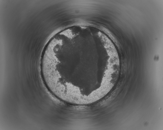 X0000094440853200712061136