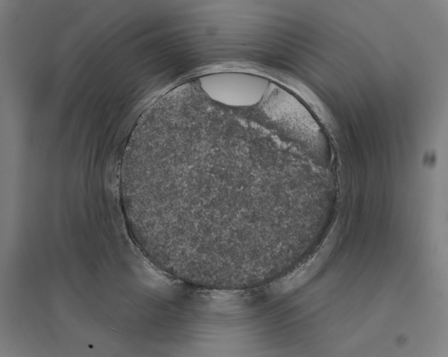 X0000094440857200712061136