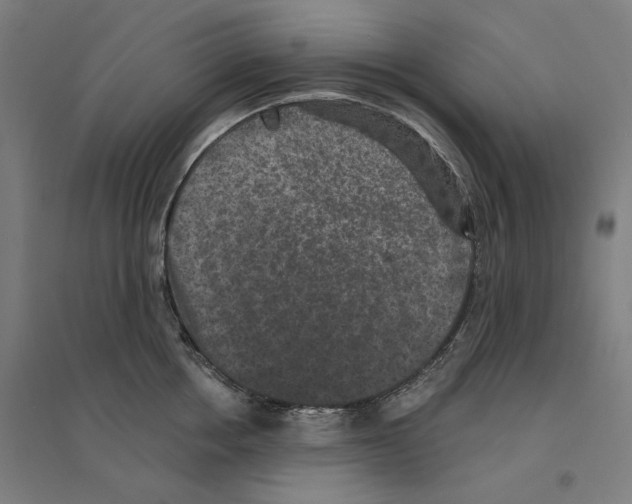 X0000094440858200712061136