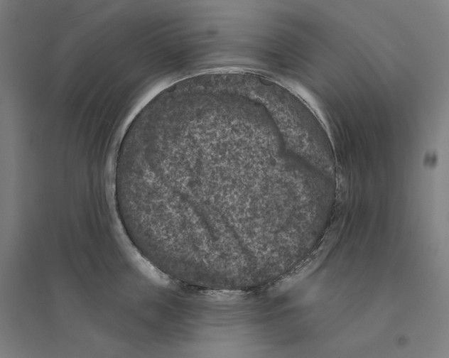 X0000094440859200712061136