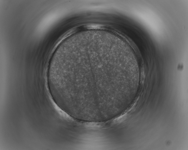 X0000094440861200712061136