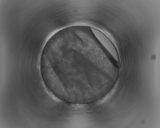 X0000094440862200712061136