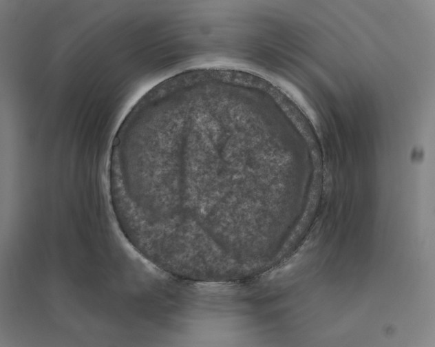 X0000094440863200712061136