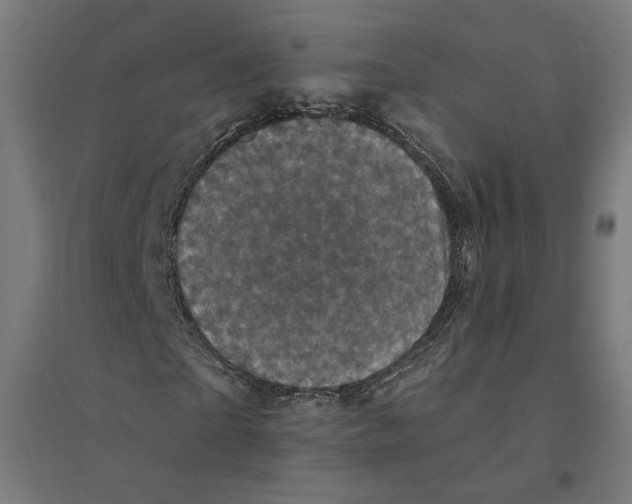 X0000094440865200712061135