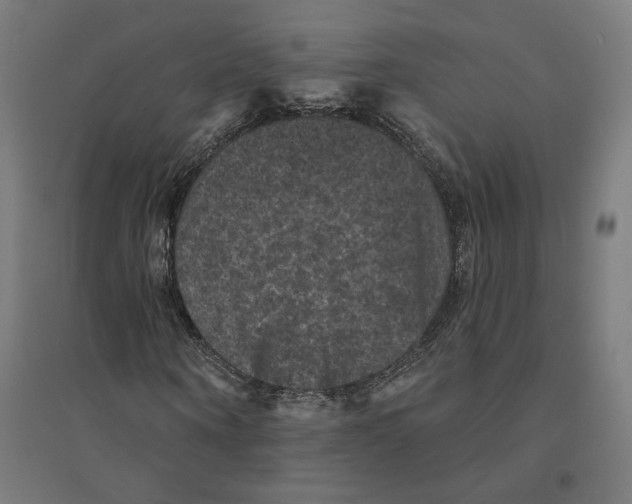 X0000094440866200712061135