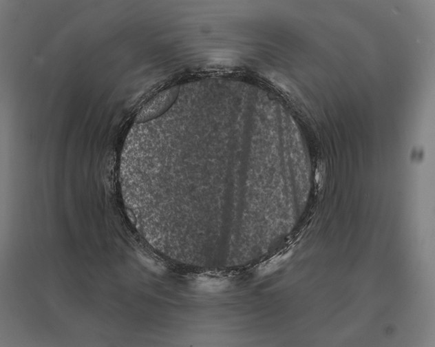 X0000094440867200712061135