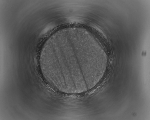 X0000094440869200712061135