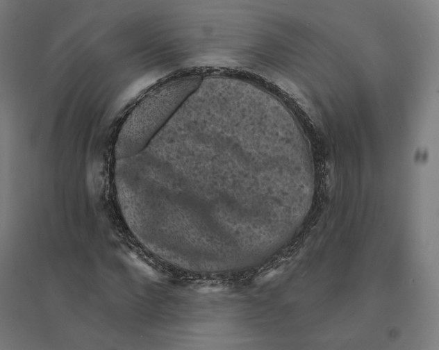 X0000094440872200712061135