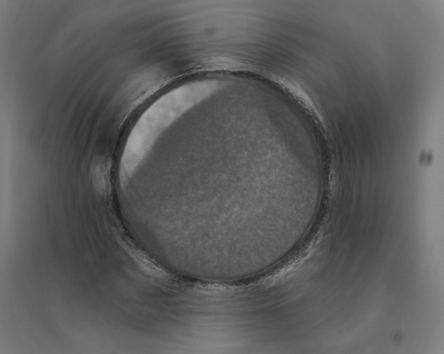 X0000094440873200712061135