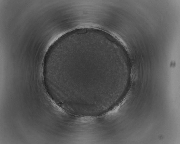 X0000094440877200712061135