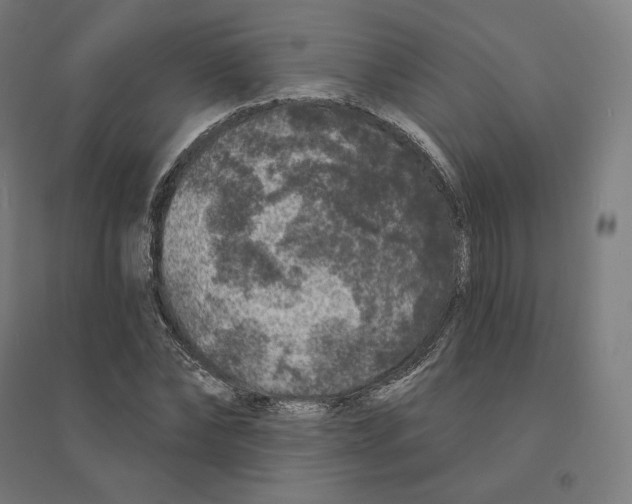 X0000094440878200712061135