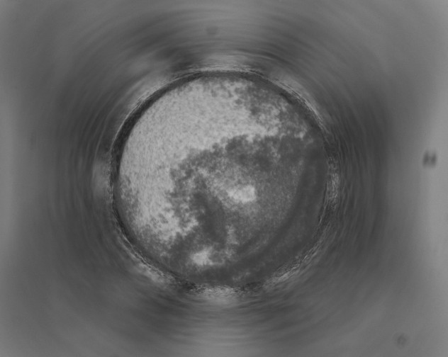 X0000094440882200712061135