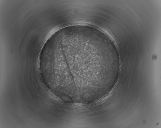 X0000094440883200712061135