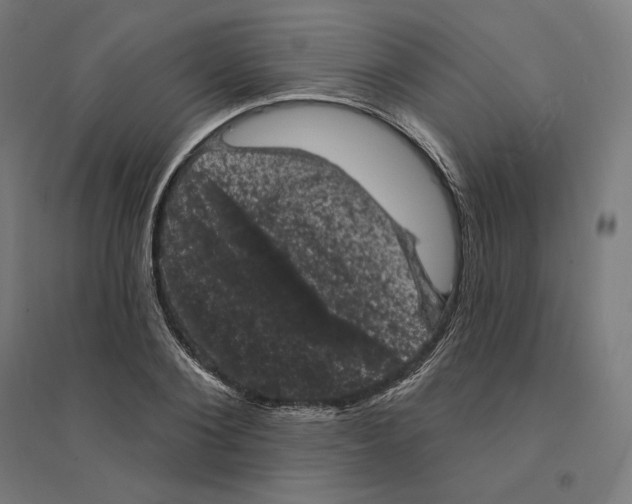 X0000094440884200712061135