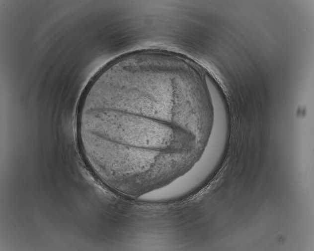 X0000094440888200712061135