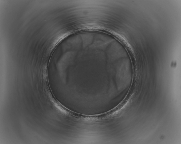 X0000094440889200712061135