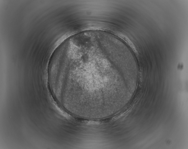 X0000094440890200712061135