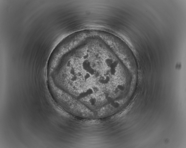 X0000094440891200712061135