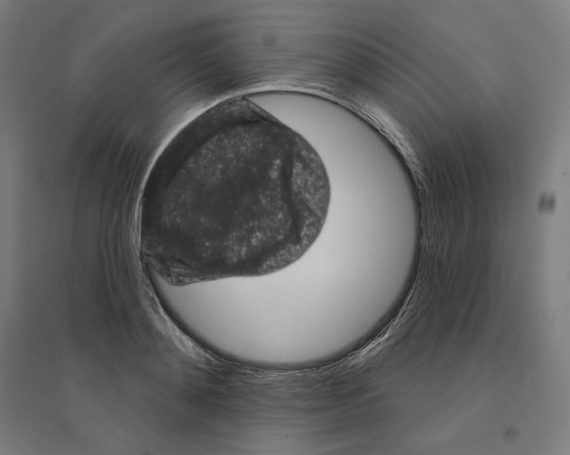 X0000094440892200712061135