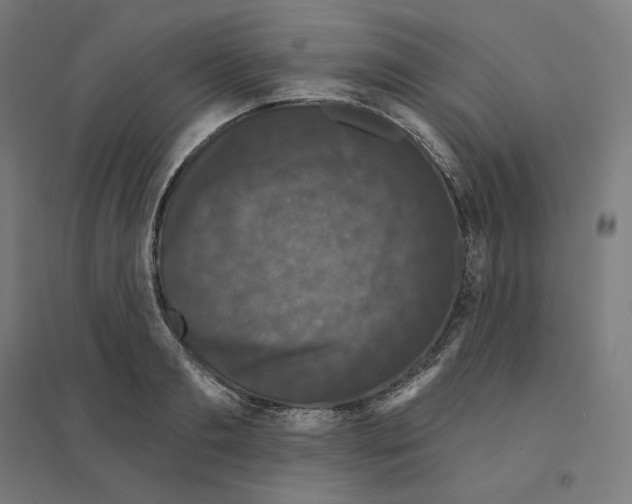 X0000094440893200712061135