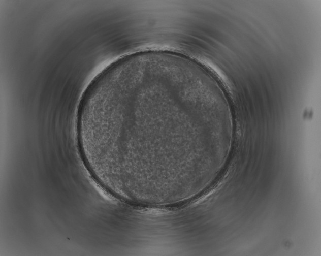 X0000094440894200712061135