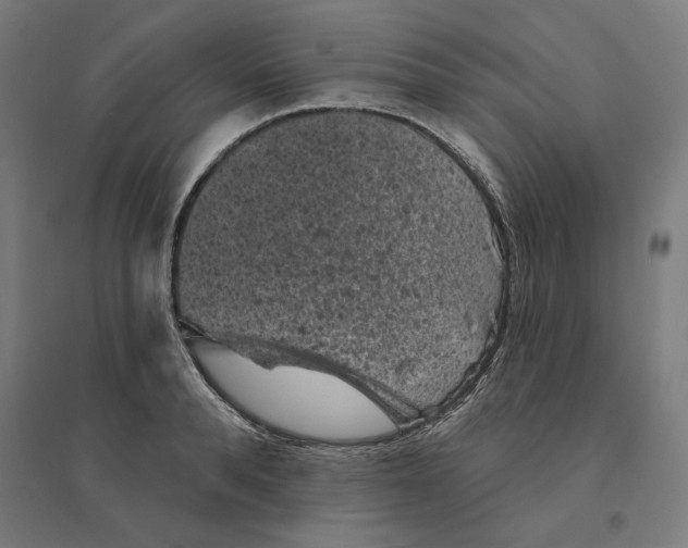 X0000094440896200712061135