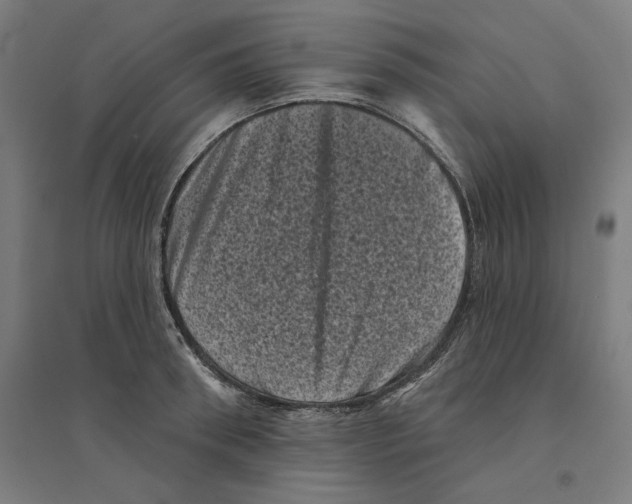 X0000094440898200712061135