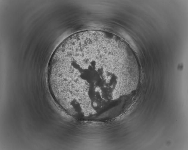 X0000094440899200712061135