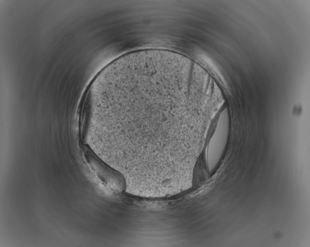 X0000094440900200712061135