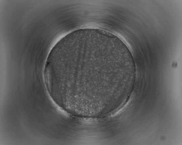 X0000094440901200712061135