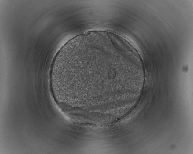 X0000094440906200712061135