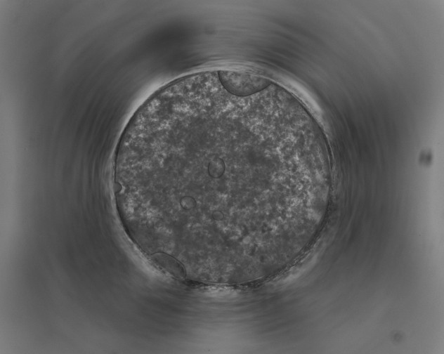 X0000094440907200712061135