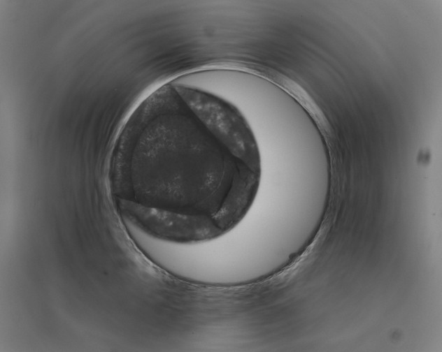 X0000094440908200712061135