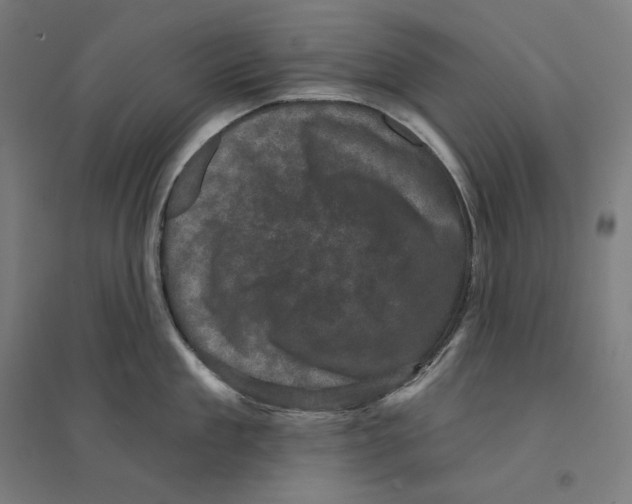 X0000094440909200712061135