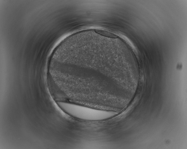 X0000094440910200712061135