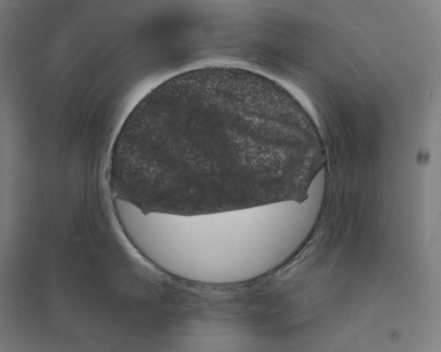 X0000094440911200712061135