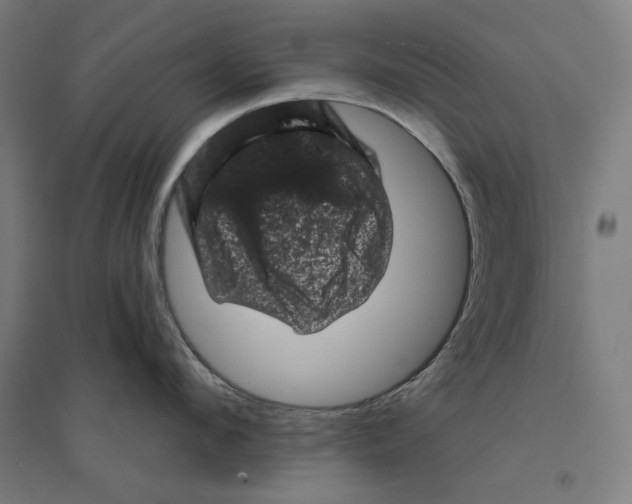 X0000094440912200712061135