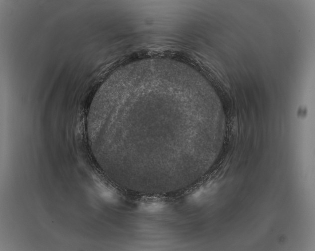 X0000094440914200712061134