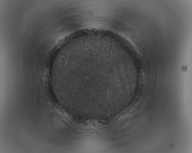 X0000094440918200712061134